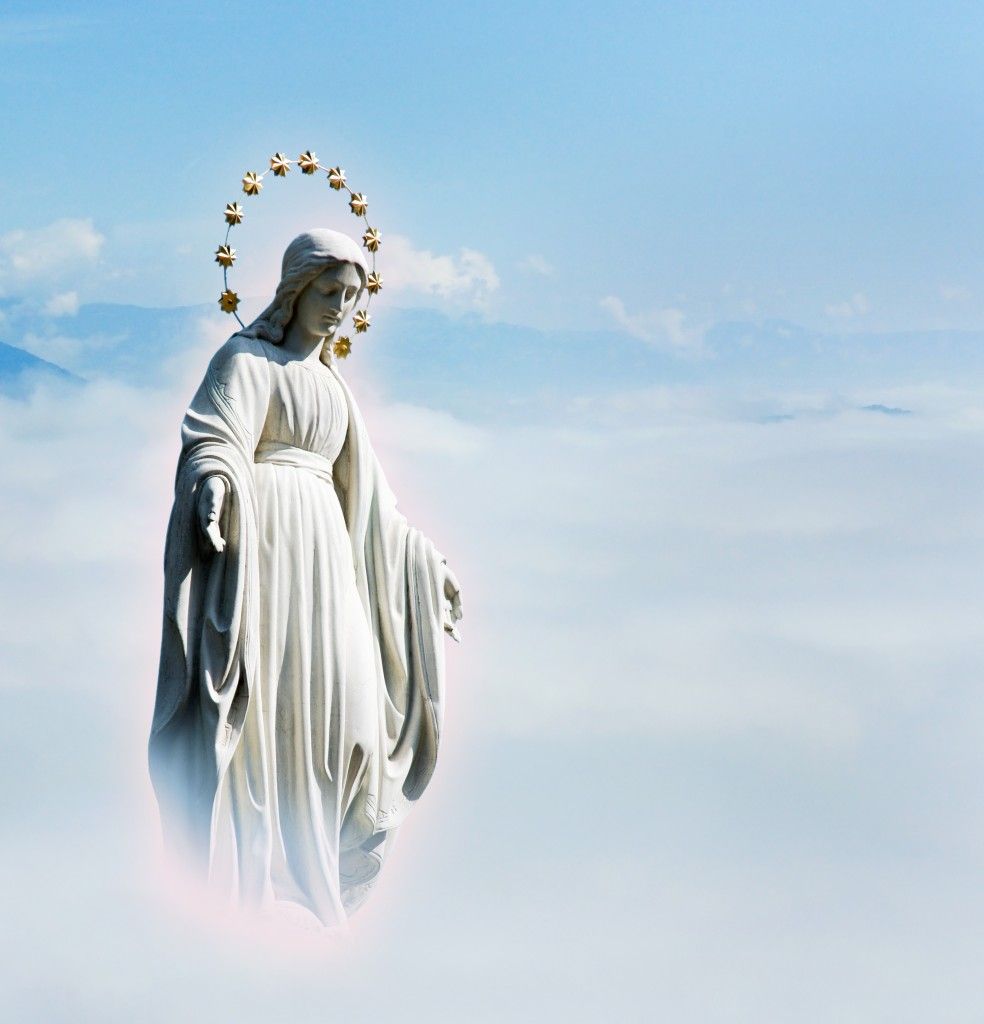 Foto: Shutterstock.com