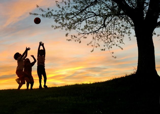 Foto: Shutterstock.com