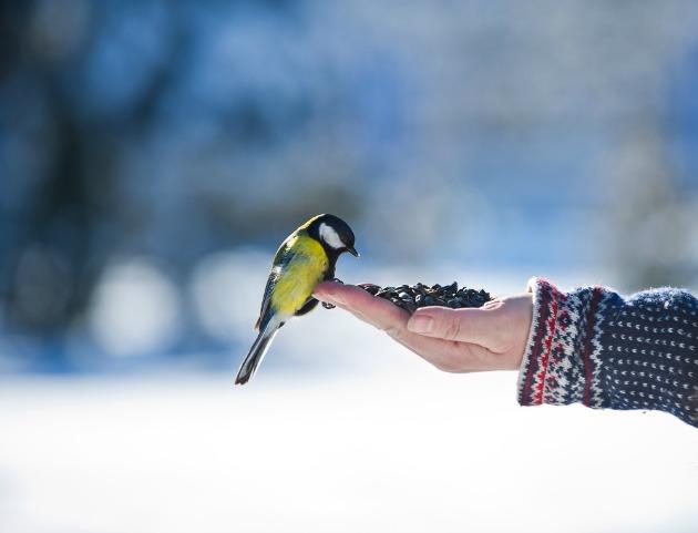 Foto: Shutterstock.com