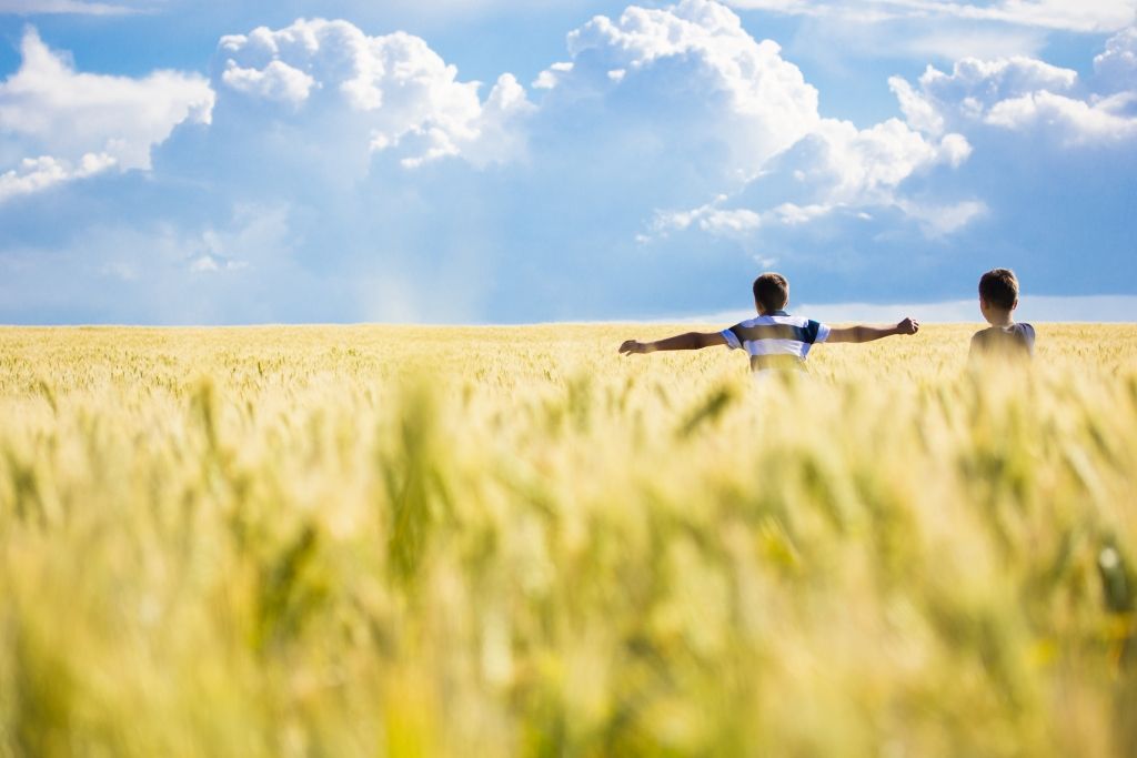 Foto: Shutterstock.com