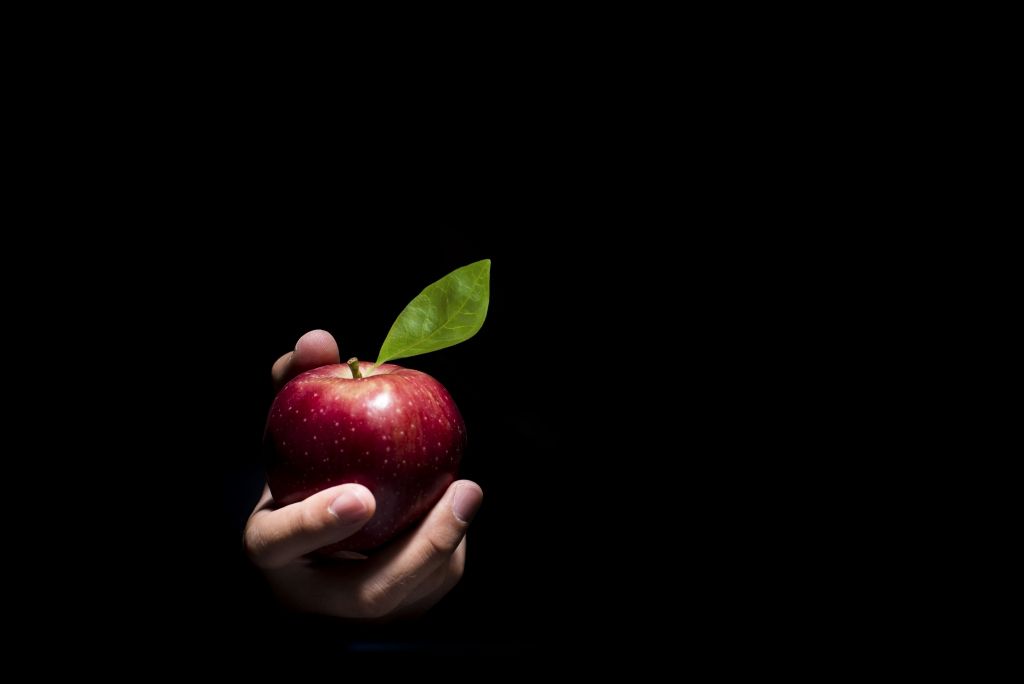 Foto: Shutterstock.com