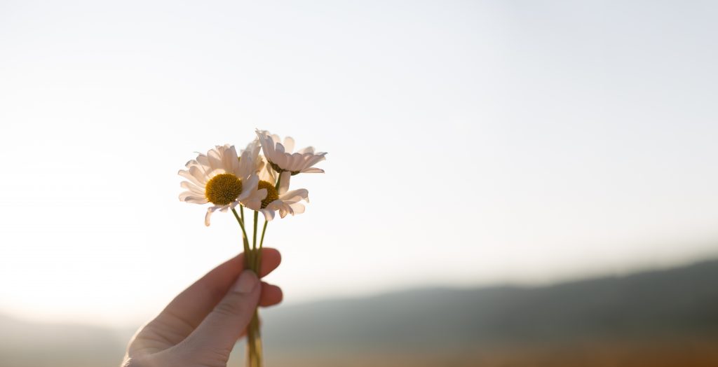 Foto: Shutterstock.com