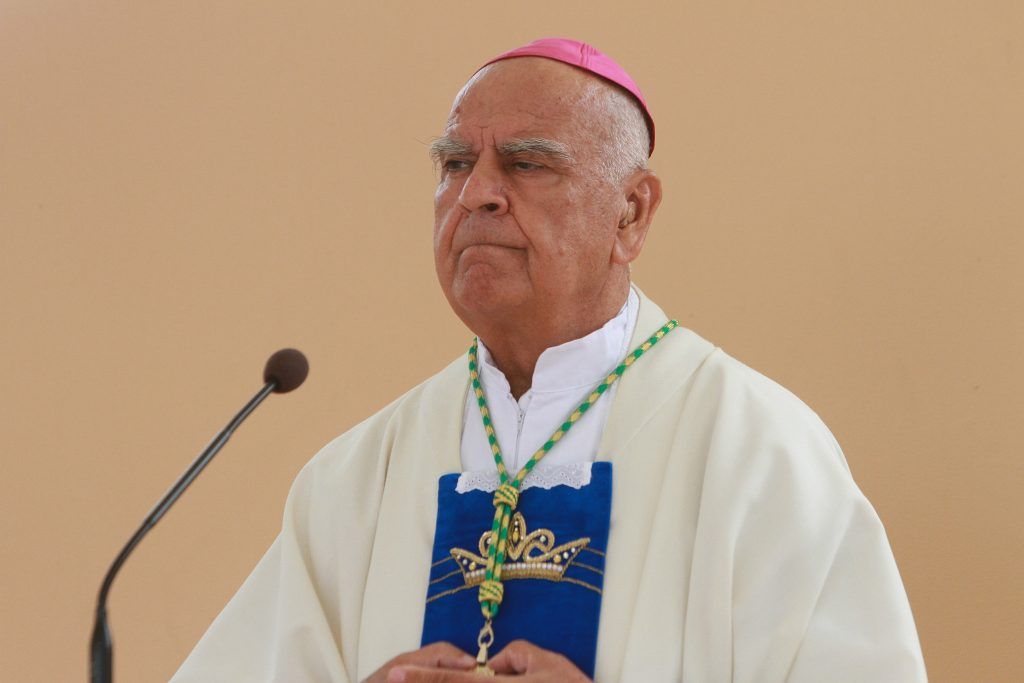 15.08.2014., Aljmas - Svecanu misu povodom svetkovine Velike Gospe predvodoli su nadbiskup Djuro Hranic i dr. Ratko Peric. 
Photo: Marko Mrkonjic/PIXSELL