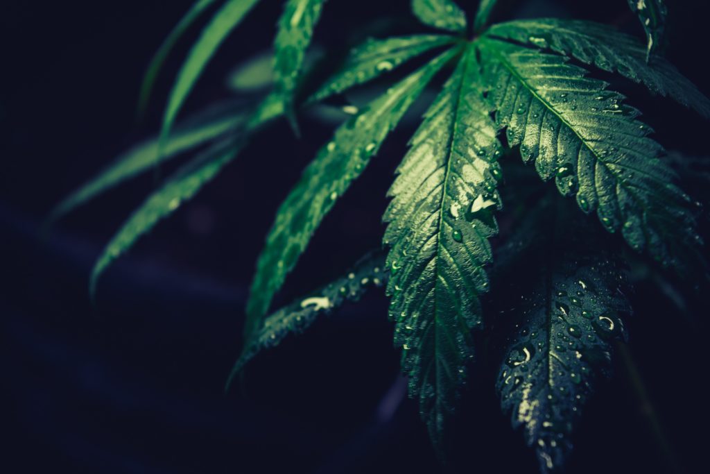 Foto: Unsplash