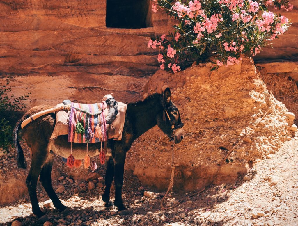 Foto: Unsplash