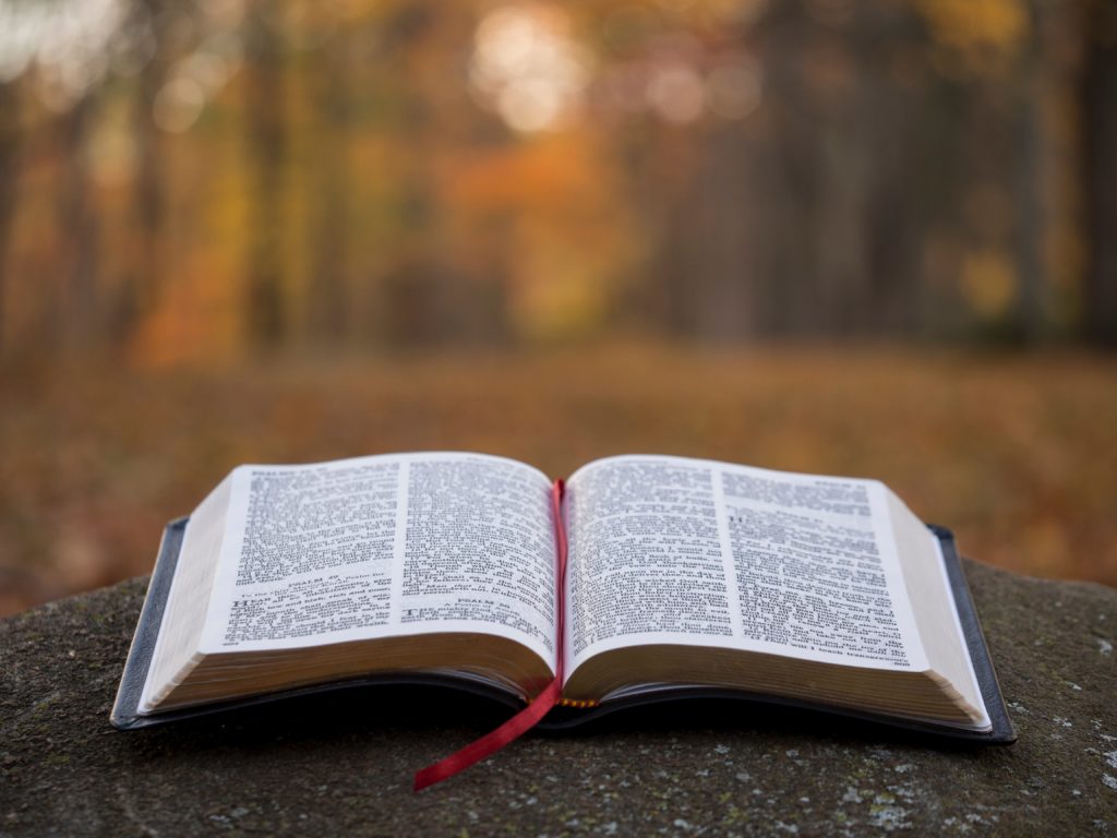 Foto: Unsplash