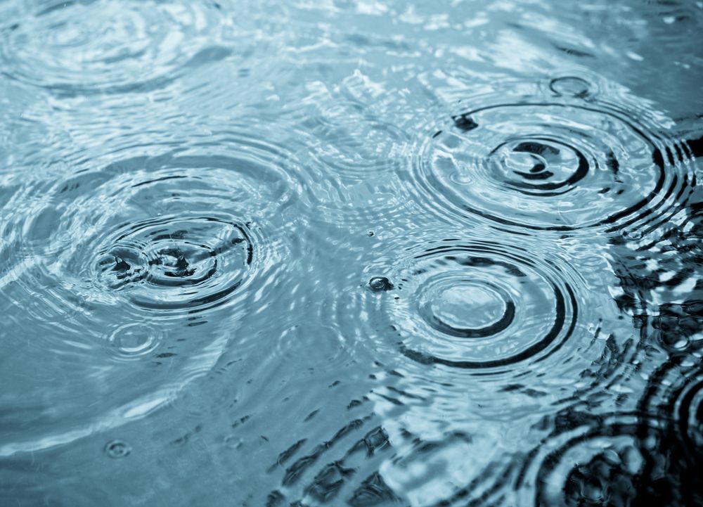 Foto: Shutterstock