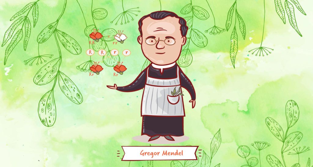 Food photo created by freepik - www.freepik.com | Shutterstock.com