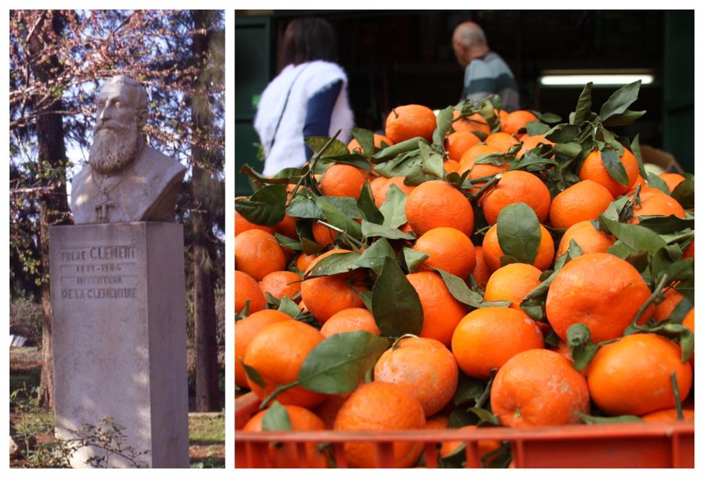 klementine, Brat Marie-Clément Rodier