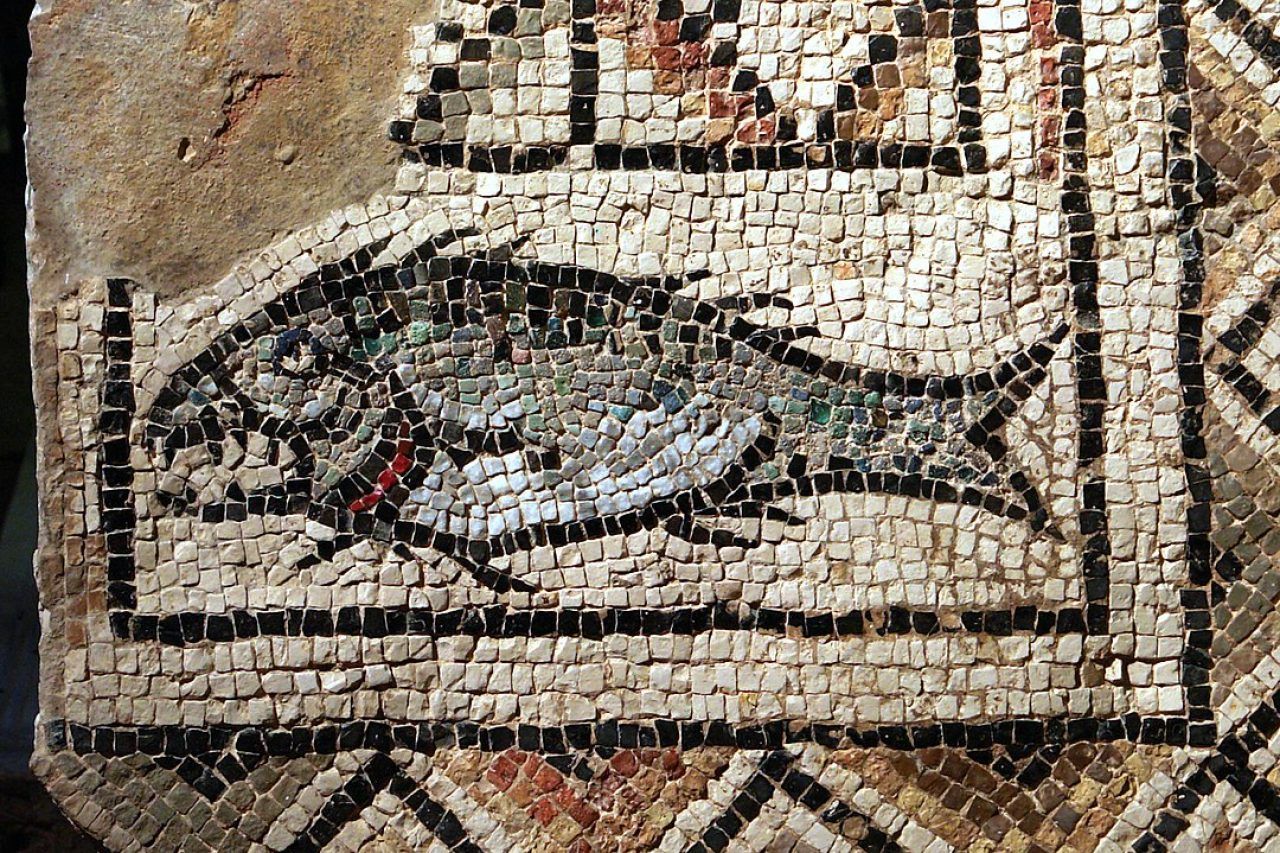 Mozaik ribe. Muzej Eufrazijeve bazilike. Foto: By Thaler Tamas - Own work, CC BY-SA 4.0