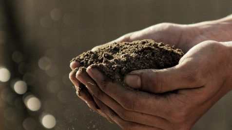 bokeh photography of person carrying soil