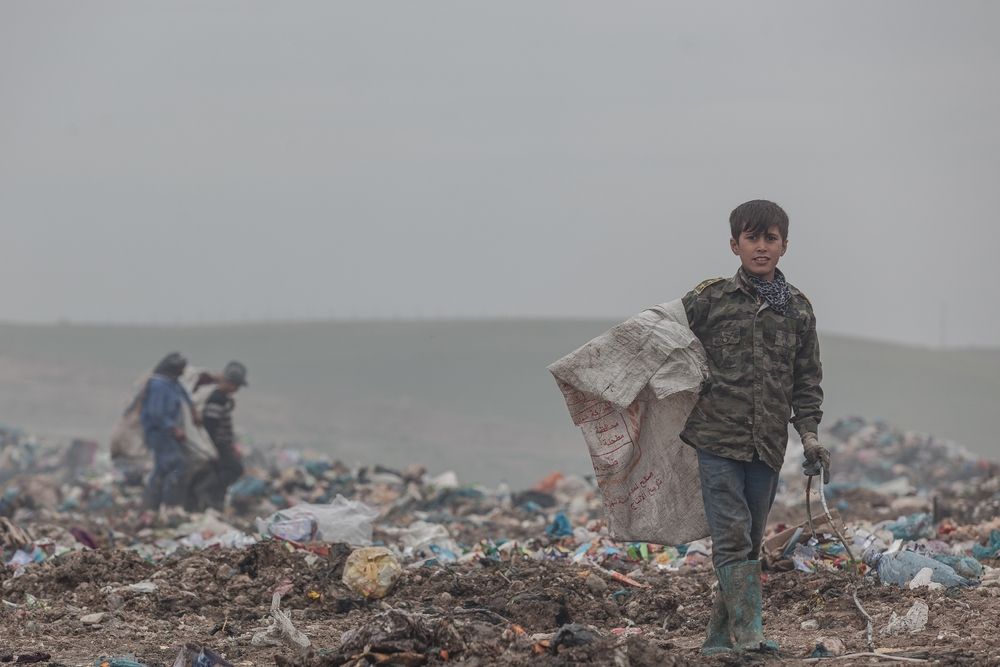 Foto: Sebastian Castelier/Shutterstock