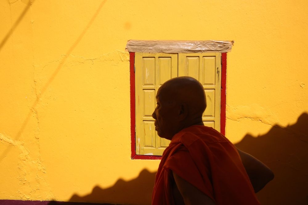 Foto: godongphoto/Shutterstock