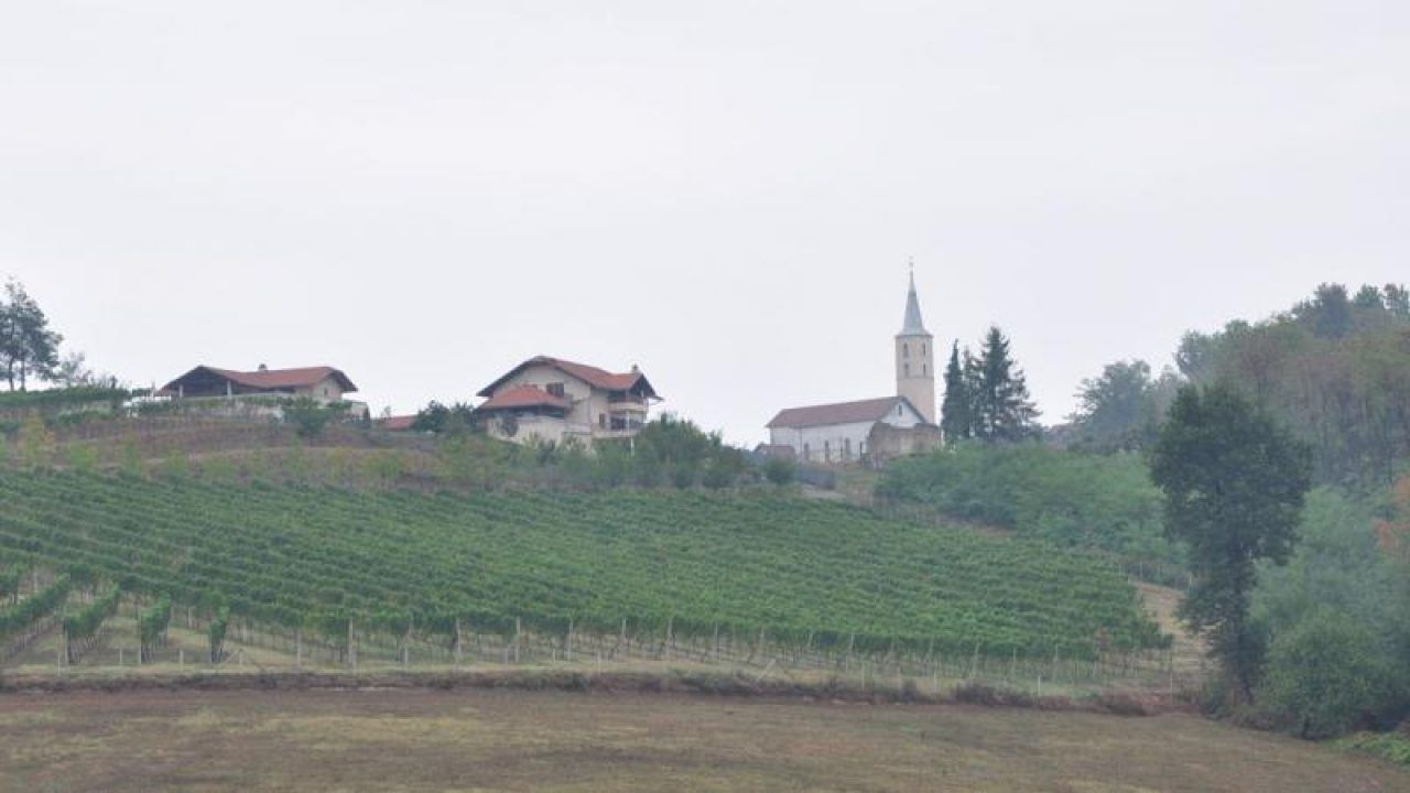 Foto: Župna crkva i vinograd u Mahovljanima 2012.


