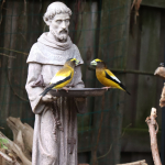 yellow and gray bird on gray concrete statue