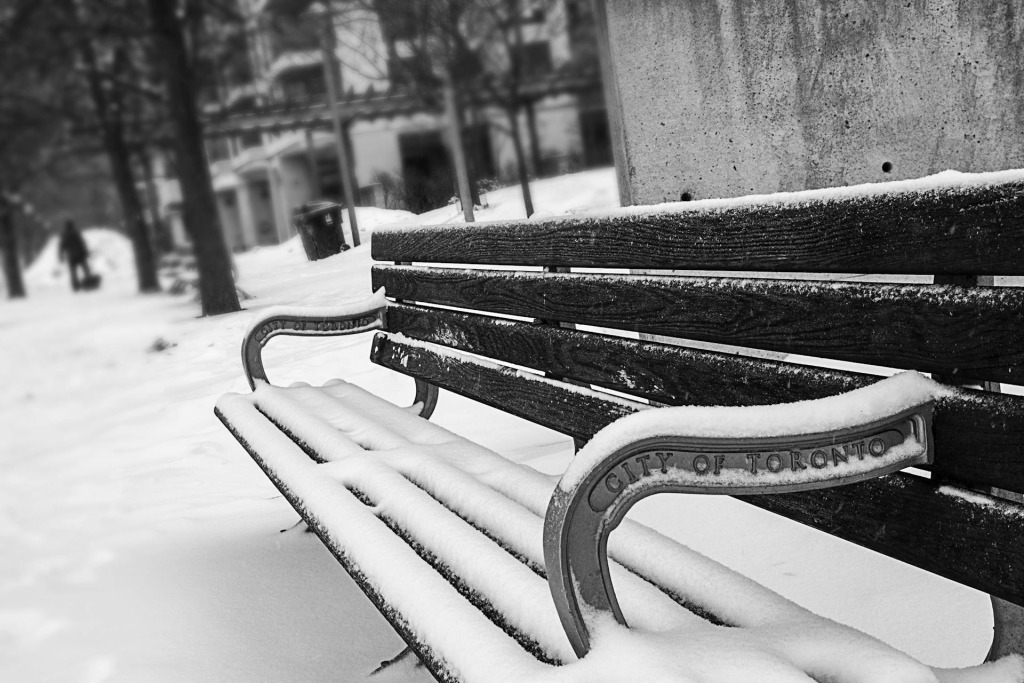 Foto: Andre Furtado, Pexels
